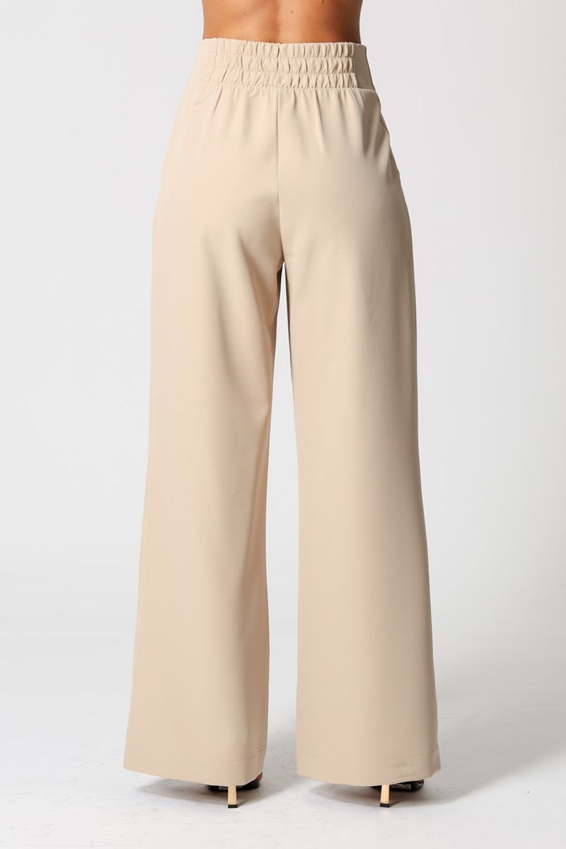 Calca-Pantalona-Cos-Minimalista-Com-Botao-Dourado-20222